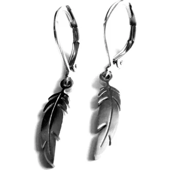 Náušnice Steel Jewelry Náušnice pírka z chirurgické oceli NS140206 dárkové balení zdarma