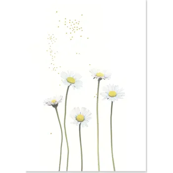 Přání se sedmikráskou