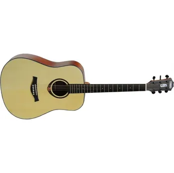 Kytara Stanwood PRO1 NT