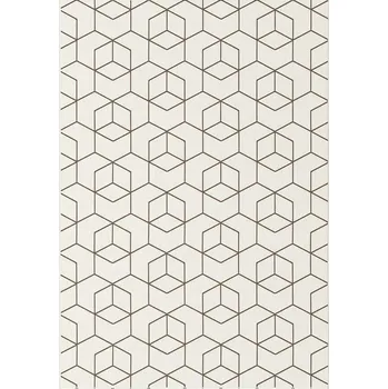 Koberec Koberec Essenza 1,2/1,7 48655 768