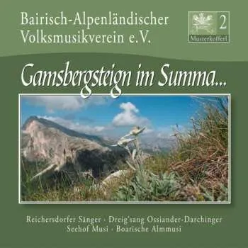 Zahraniční hudba CD Volksmusik: Musterkofferl 2: Gamsbergsteign Im Summa... 2011