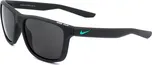 Sluneční brýle Nike NIKEEV0990061