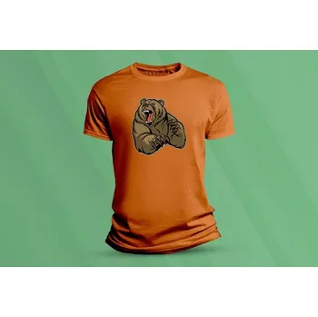 Chlapecké tričko Dětské bavlněné tričko Grizzly. velikost 104 (3-4 roky) Oranžová