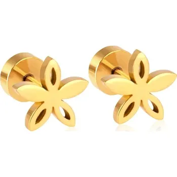 Náušnice Stylové elegantní náušnice z chirurgické oceli - Jetel