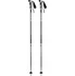 Sjezdová hůlka Blizzard Allmountain Ski Poles stříbrné/černé 2023/24 135 cm