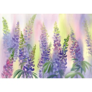 Plakát Plakát, Obraz - pink and violet lupine flowers watercolor, Eglelip