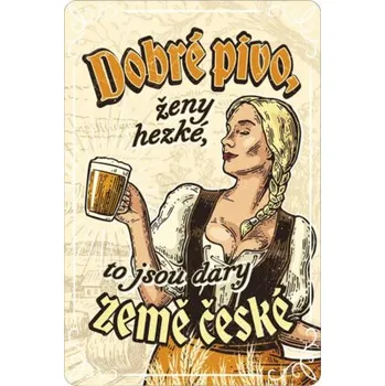 Plechová cedule Plechová cedule Pivo BU20046 20x30 cm