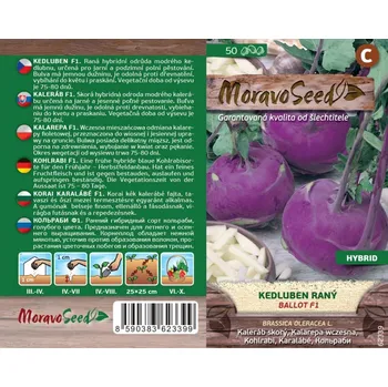 Semeno Kedluben modrý raný Ballot F1 - osivo (Brassica oleracea L.)