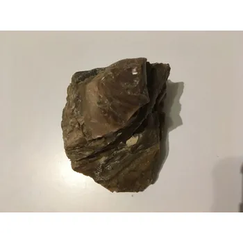 Opál dřevitý 138 gramů