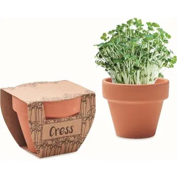 Květináč Cress pot Semínka řeřichy v květináčku