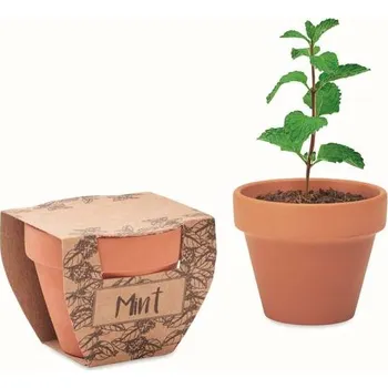 Květináč Mint pot Semínka máty v květináčku