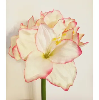 umělá květina Amarylis květ 70 cm kvémový s růžovým okrajem