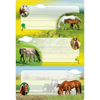 Set školních potřeb Naklejki szkolne - Konie 6szt
