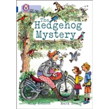 Populárně naučná literatura pro dospělé The Hedgehog Mystery - Kennen, Ally
