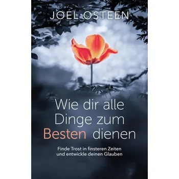 Wie dir alle Dinge zum Besten dienen - Osteen, Joel