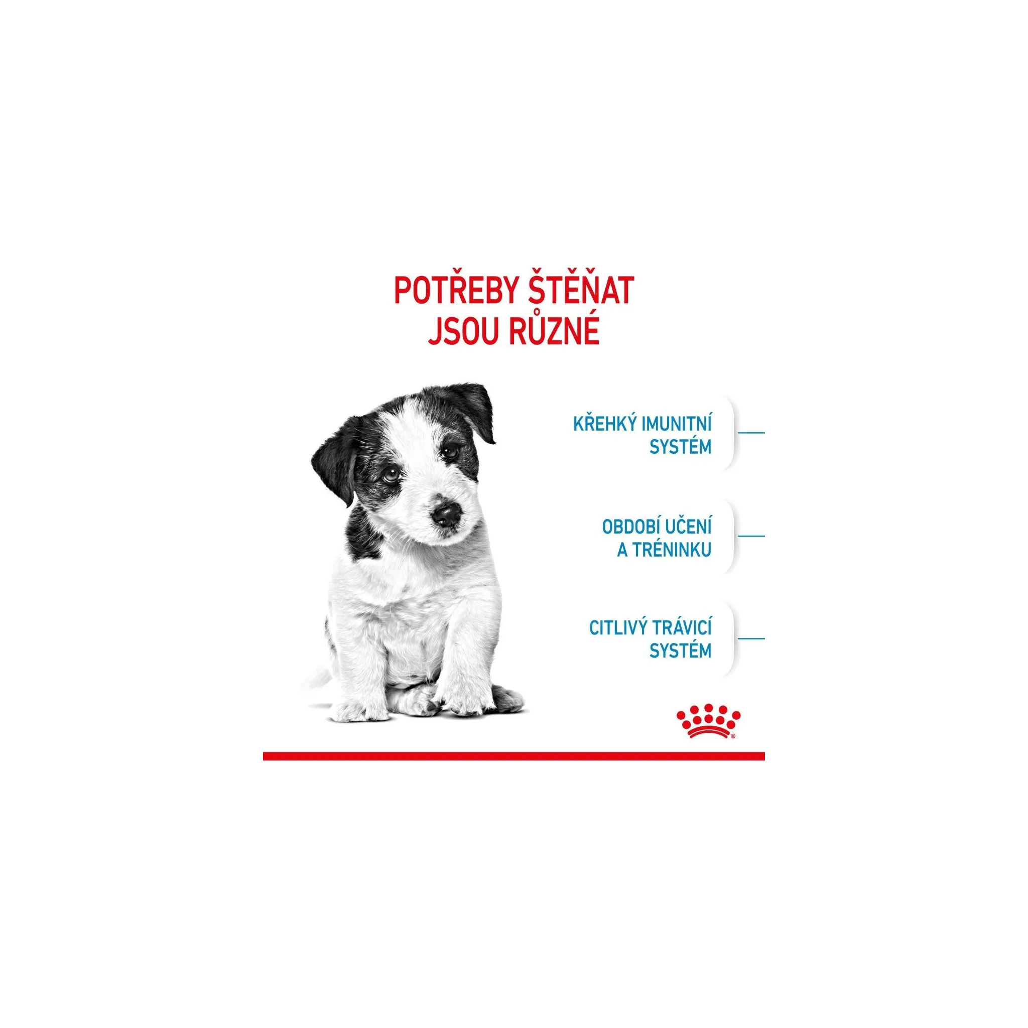 Fotografie 11 - Krmivo pro psa Royal Canin Mini Puppy 4 kg