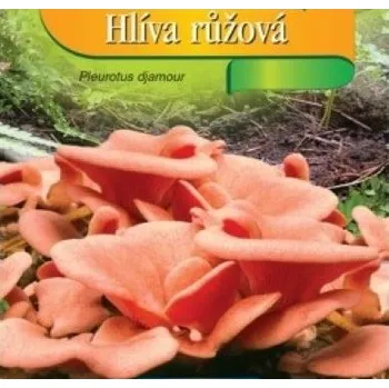 Semeno AGRI Slatinice Kolíčková sadba Hlíva růžová