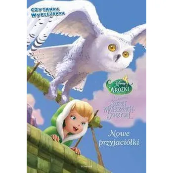 Wróżki - Sekret magicznych skrzydeł