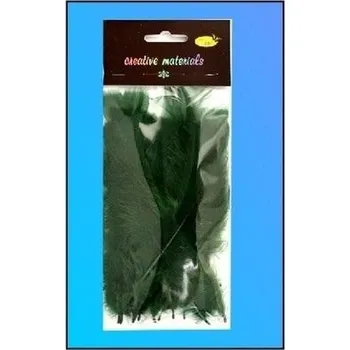 Set školních potřeb Piórka miękkie ciemnozielone 15szt