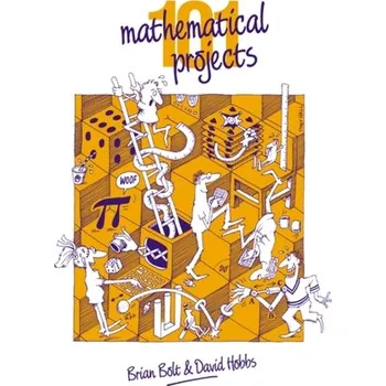 Cizí jazyk 101 Mathematical Projects - Fisher, Brian L., Ph. D.; Bolton, Barry