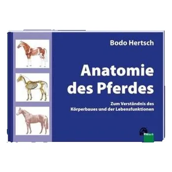 Anatomie des Pferdes - Hertsch, Bodo
