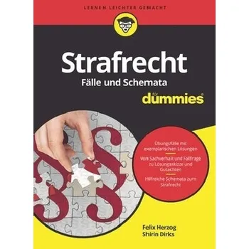 Strafrecht Fälle und Schemata für Dummies - Herzog, Felix