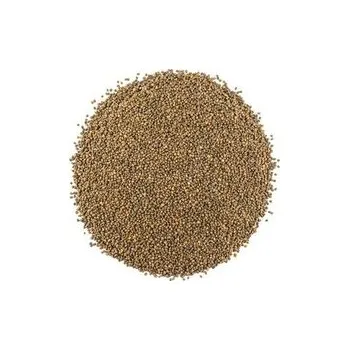 Sušená potravina Rukola semínka na klíčení váha 200g