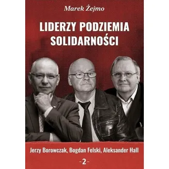 Literární biografie Liderzy podziemia Solidarności 2 Jerzy Borowczak.. - Marek Żejmo