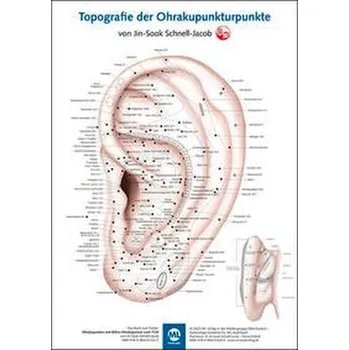 Poster - Topografie der Ohrakupunkturpunkte - Jin-Sook, Schnell-Jacob