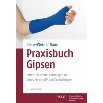 Praxisbuch Gipsen - Bonn, Hans-Werner