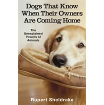 Příroda Dogs That Know When Their Owners Are Coming Home - Rupert Sheldrake