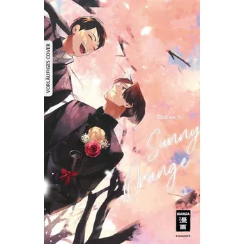 Komiks pro dospělé Sunny Orange - Abe, Chitose