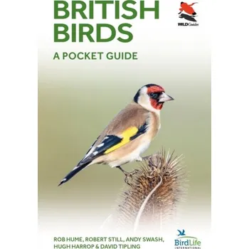 Cestování British Birds - Rob Hume