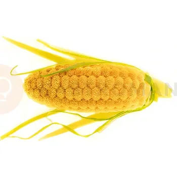 Kuchyňská sůl Silikonová forma na chuťovky, kukuřice, 12x 68x26x21 mm | SILIKOMART, Pannocchia 20