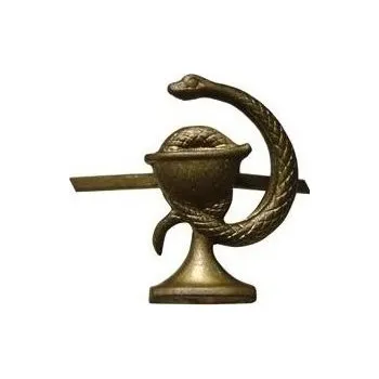 ARMÁDNÍ ORIGINÁL ČSLA Odznak ČSLA zdravotni služba mořený Varianta: pravý