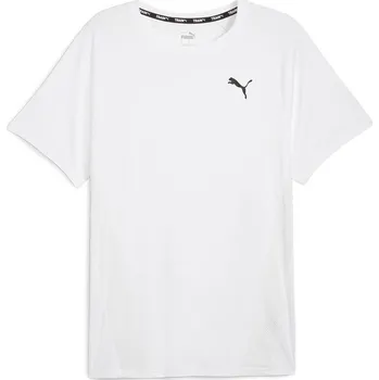 Pánské tričko PUMA - PÁNSKÉ SPORTOVNÍ TRIČKO TRAIN ALL DAY TEE 524916-02S