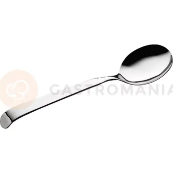 Příbor Lžíce servírovací 280 mm | TOM-GAST, T-7614