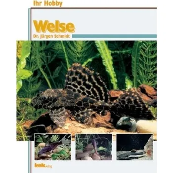 Welse - Schmidt, Jürgen