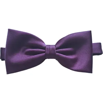 Motýlek Motýlek Carlo Cardini Classic s kapesníčkem - švestkový