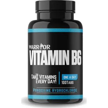 Vitamin B6 tablety 100 tab