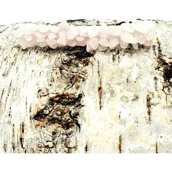 Francouzská spona s Růženínem (8 x 1 cm)