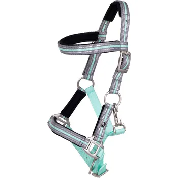 Vybavení pro koně QHP Ohlávka hříběcí s čelenkou Flore QHP, ice green PONY