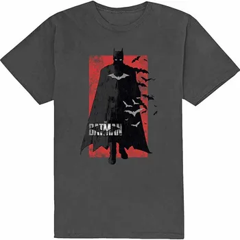 Pánská móda Batman tričko, The Batman Distressed Logo Grey, pánské XL