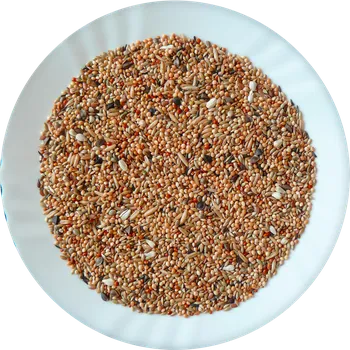 Krmivo pro ptáka Avicentra Professional Neoféma 5kg