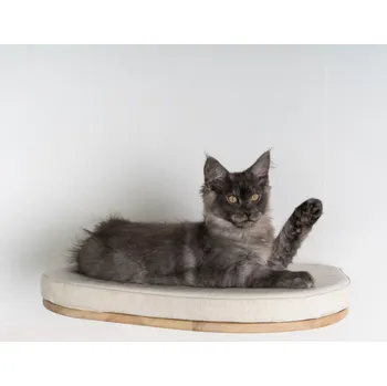 RhR XXL Luxury Cat Wall Bed béžový
