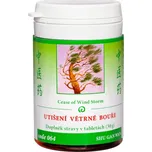 TCM Herbs Utišení větrné bouře (064) SHU GAN WAN 100 tablet