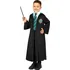 Karnevalový kostým Amscan Dětský kostým Harry Potter 99125 Zmijozelský plášť