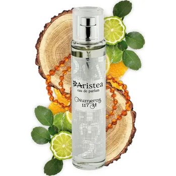 Pánský parfém Aristea NUMEROS 117 H parfémová voda pánská 50 ml