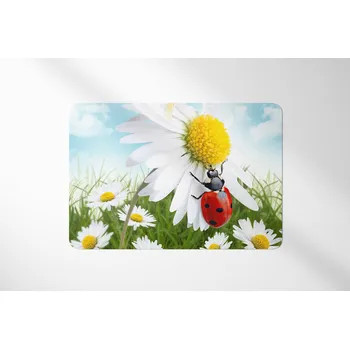 Stolování Matějovský Beruška-Kopretina