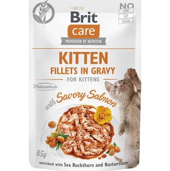 Pro kočku Brit Care Cat Fillets in Gravy Kitten Savor.Salmon 85g (min. odběr 24 ks)